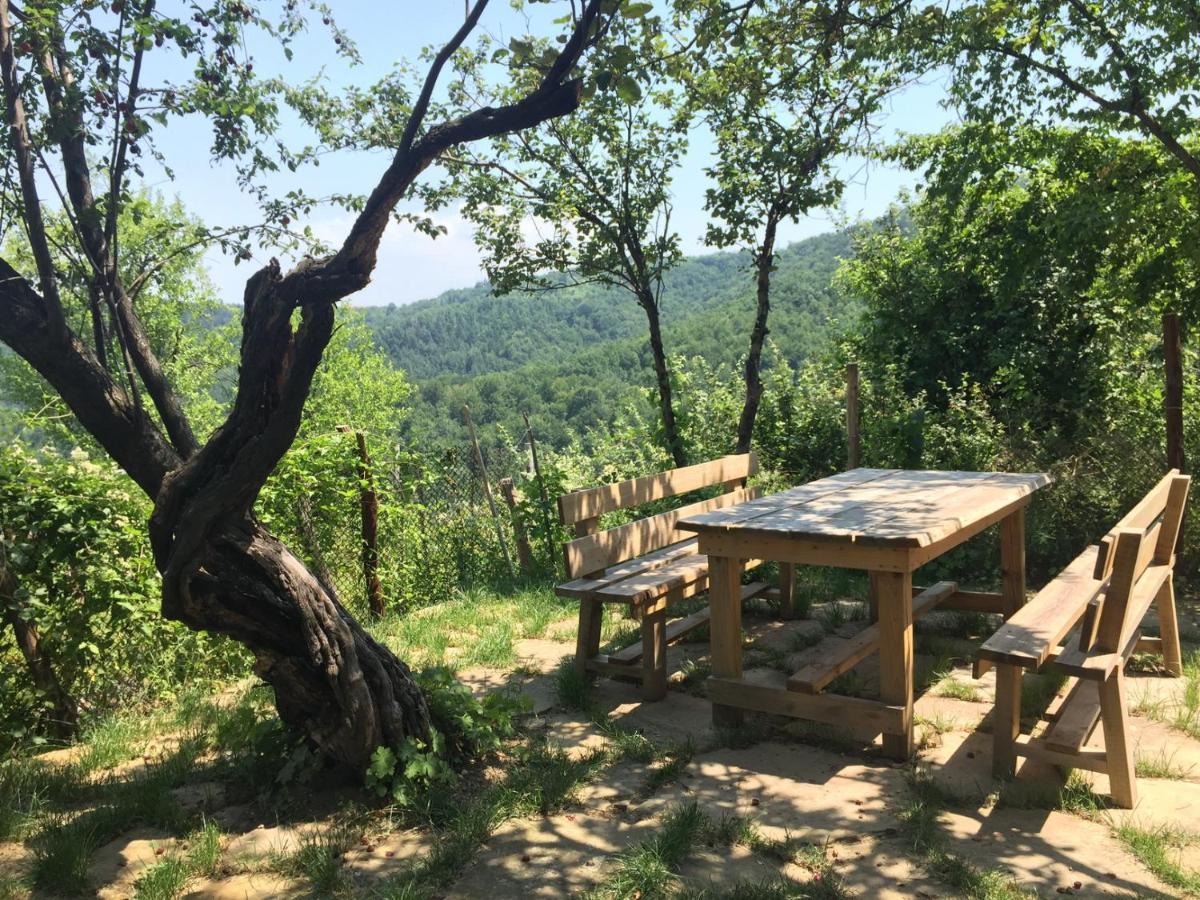 Арт Комплекс Горски Дом - Трявна Esterno foto