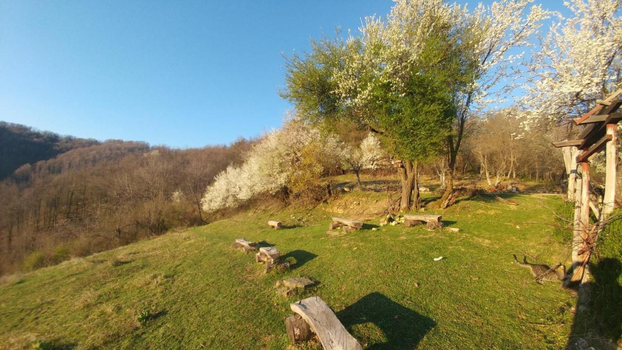 Арт Комплекс Горски Дом - Трявна Esterno foto